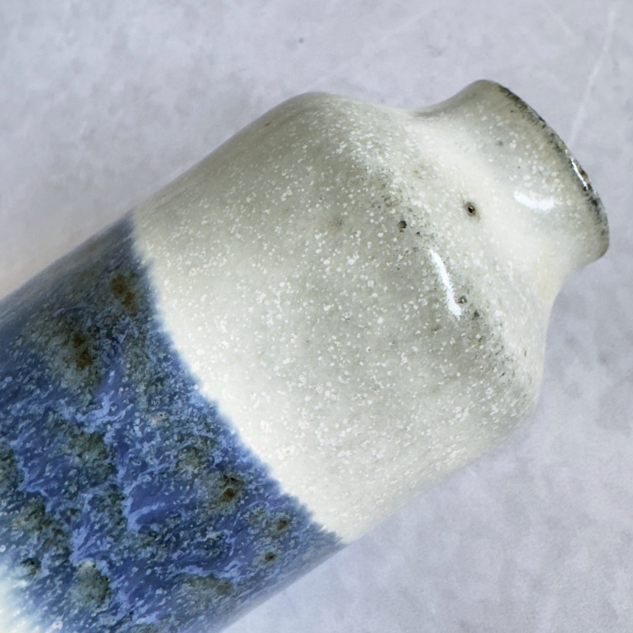 Small Vase & Dried Posy Gift Set - Ivory and Indigo no.1