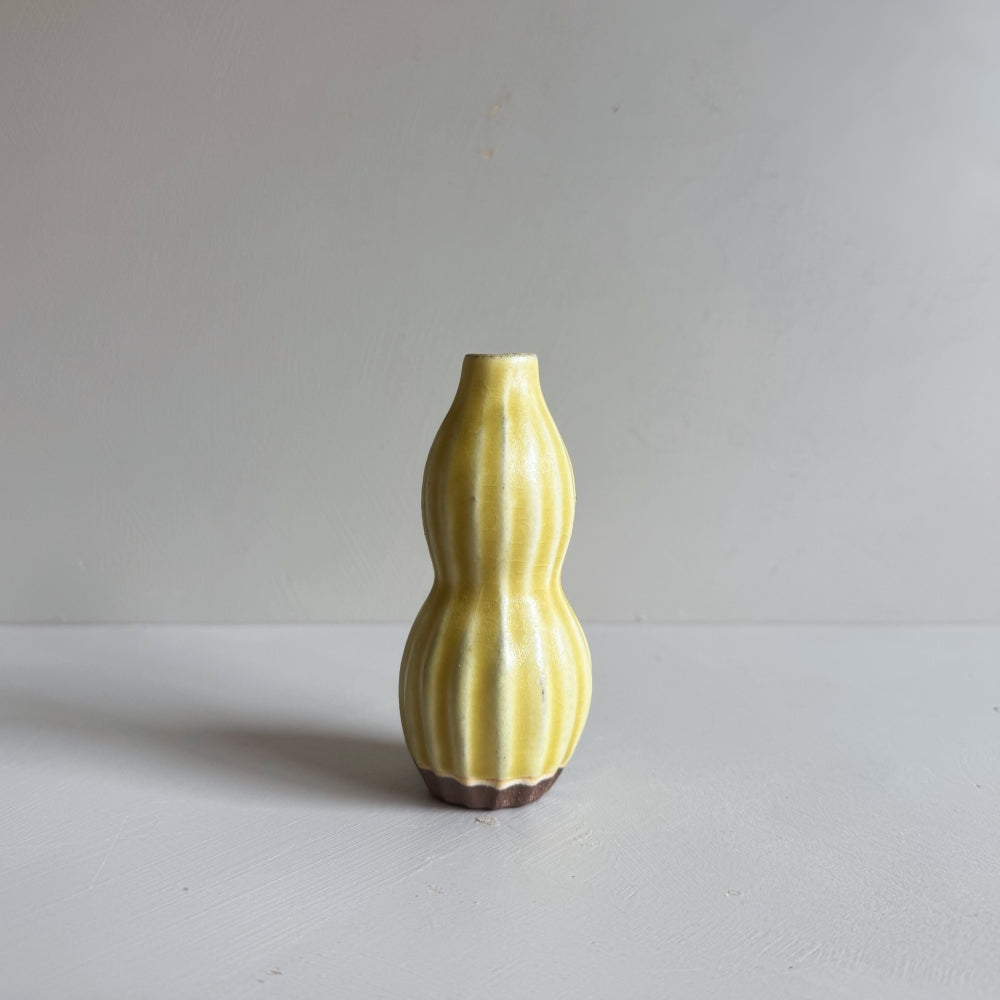 Small Vase & Dried Posy Gift Set - Yuzu no.14