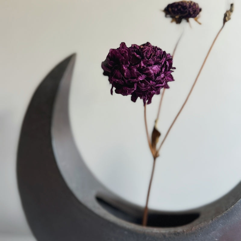 A handcrafted Crescent Vase made by Tsugaru Kanayama Pottery in Japan, featuring a unique crescent moon shape and dark earthy tones.